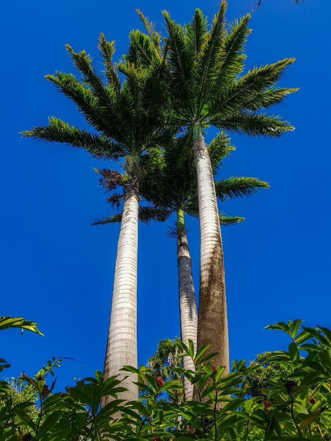 Blue Paradise Le Gosier  Dış mekan fotoğraf