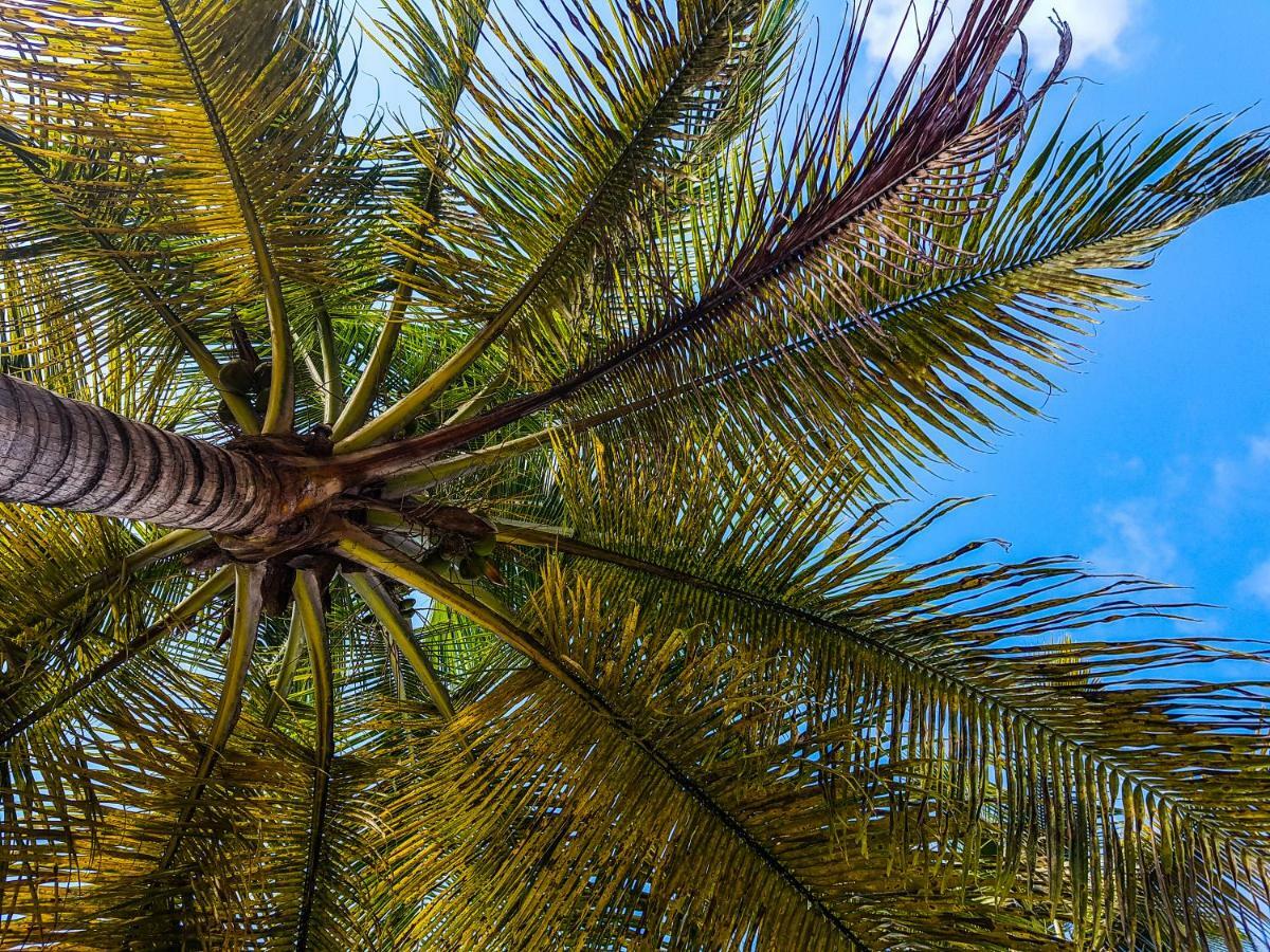 Blue Paradise Le Gosier  Dış mekan fotoğraf